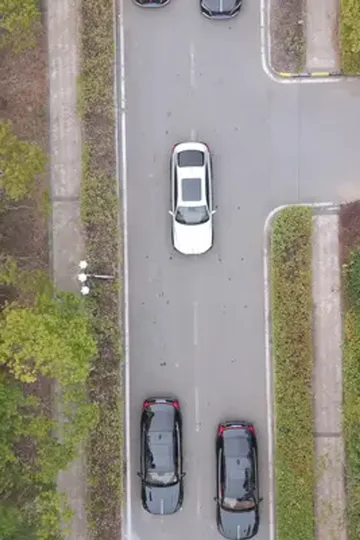 Veliahtın gizli aşkı afişi