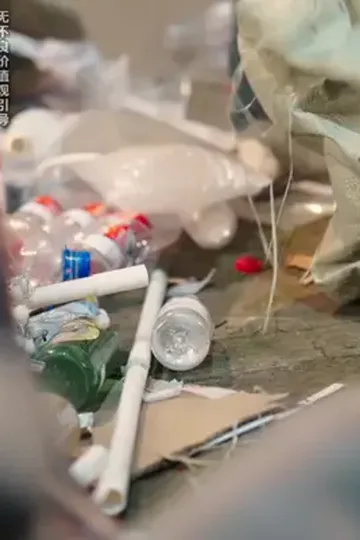 Başkan'ın eşi dahi üniversiteli afişi
