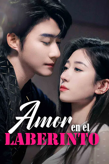 Póster de Amor en el Laberinto