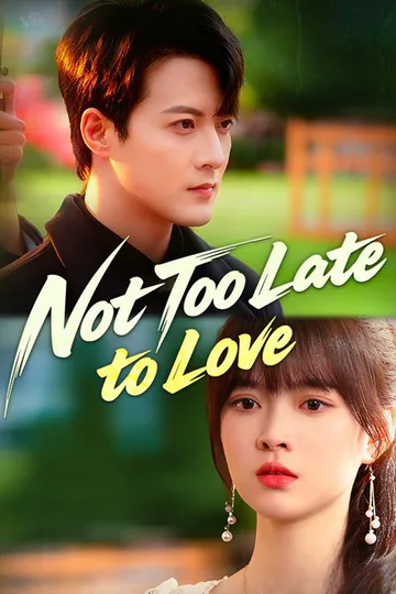 Not Too Late to Love poster