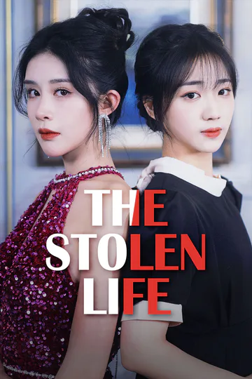 The Stolen Life poster