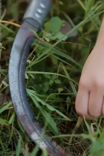 Geç gelen kucaklaşma afişi