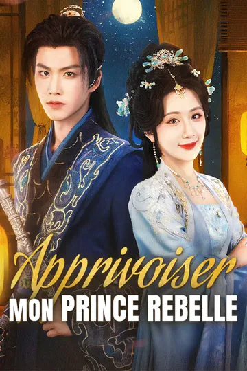 Affiche de Apprivoiser Mon Prince Rebelle