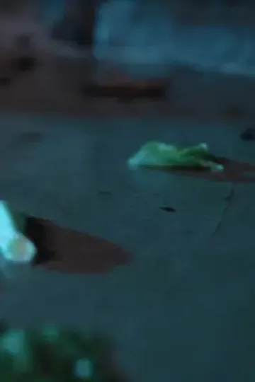 Veliahtın çalınan kaderi afişi