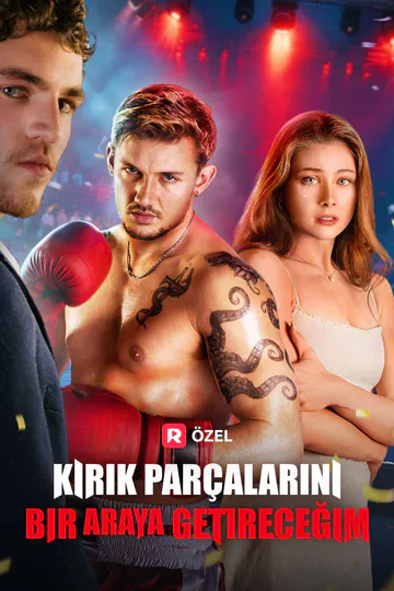 Kırık Parçalarını Bir Araya Getireceğim afişi