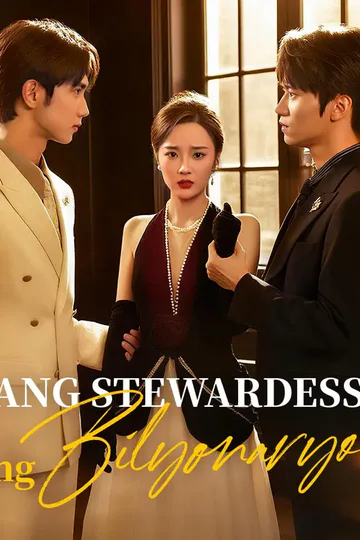 Poster ng Ang Stewardess ng Bilyonaryo