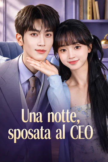 Locandina di Una notte, sposata al CEO