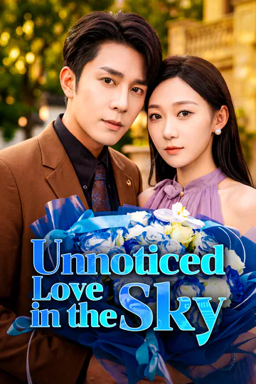 Unnoticed Love in the Sky poster