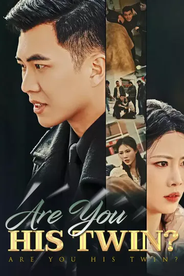 Are You His Twin poster