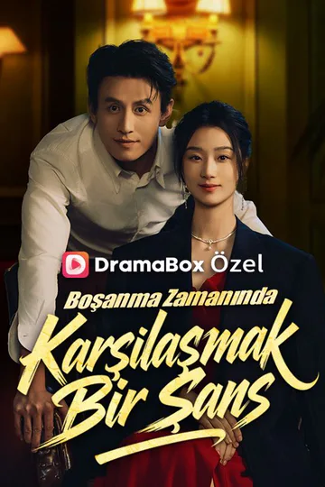 Boşanma Zamanında Karşılaşmak Bir Şans afişi
