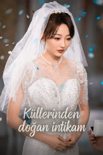 Küllerinden doğan intikam afişi