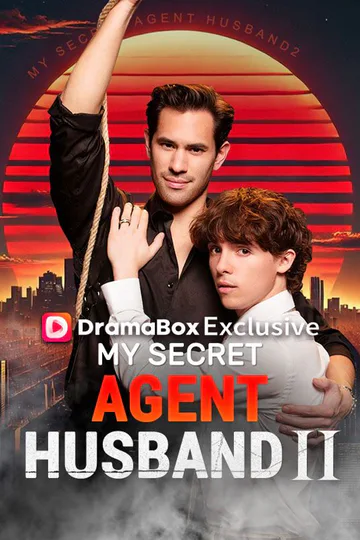 My Secret Agent Husband 2  poster