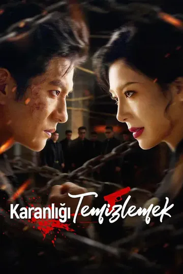 (Dublajlı) Karanlığı Temizlemek afişi