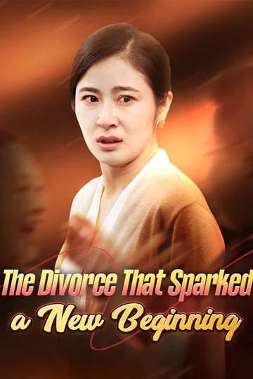 The Divorce That Sparked a New Beginning poster