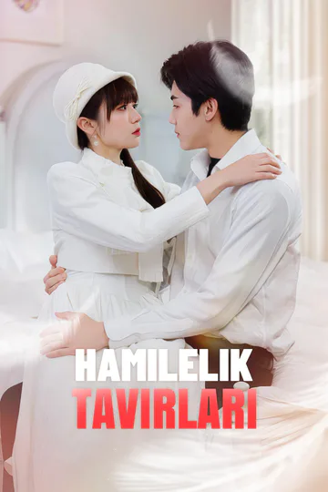 Hamilelik Tavırları afişi