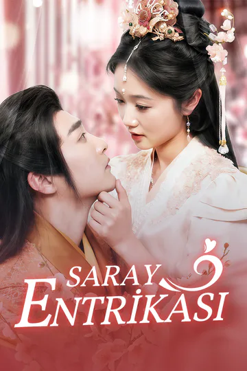 Saray Entrikası afişi
