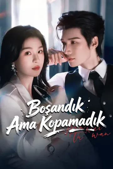 (Dublajlı) Boşandık Ama Kopamadık afişi