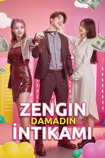 Zengin Damadın İntikamı afişi