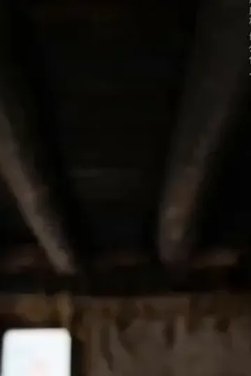 2000'e dönüş, kıyıdan servet kazan afişi