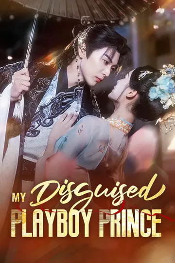 My Disguised Playboy Prince poster