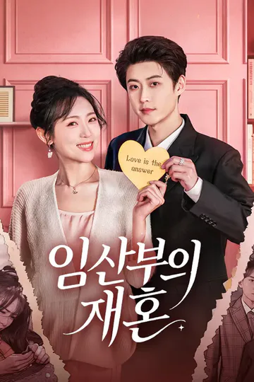 임산부의 재혼 포스터