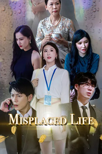 Misplaced Life poster