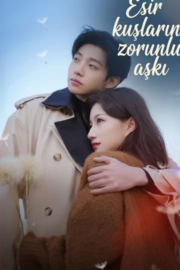 Esir kuşların zorunlu aşkı afişi