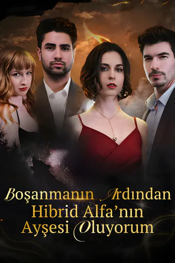 Boşanmanın Ardından: Hibrid Alfa’nın Ayşesi Oluyorum afişi