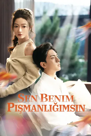 Sen benim pişmanlığımsın afişi