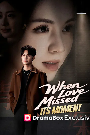 When Love Missed Its Moment poster