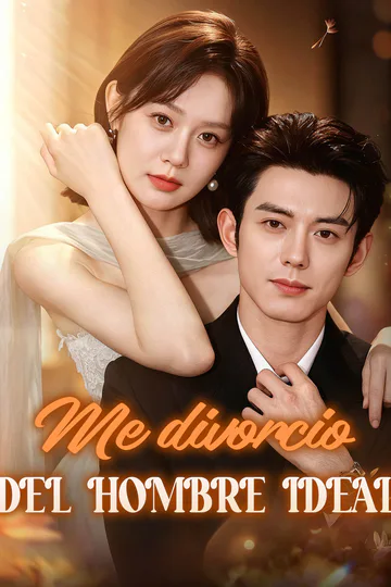 Póster de Me divorcio del hombre ideal