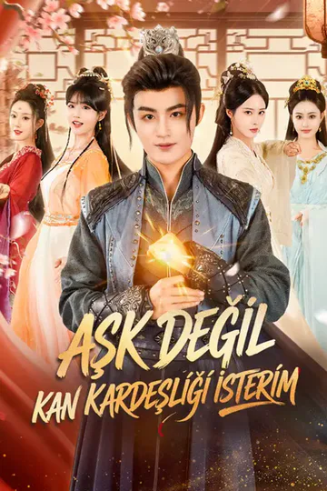 Aşk Değil, Kan Kardeşliği İsterim afişi