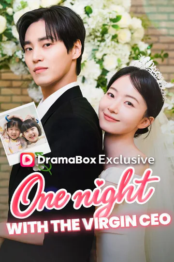 One Night With the Virgin CEO (DUBBED) poster