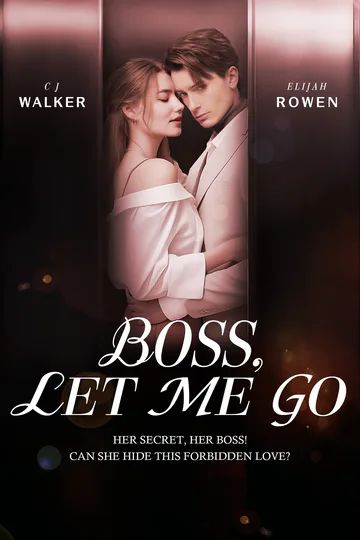 Boss Let Me Go poster