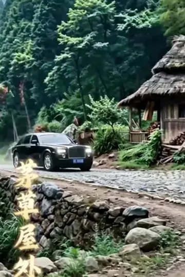 Pôster de A Noiva Fingida do Mestre