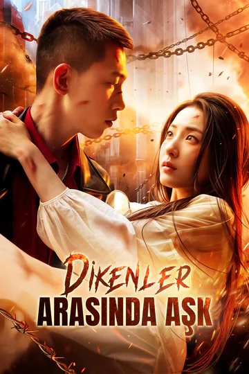 Dikenler Arasında Aşk afişi