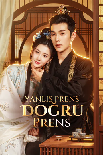 Yanlış Prens, Doğru Prens(Dublajlı) afişi