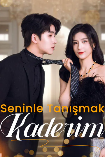 Seninle Tanışmak Kaderim afişi