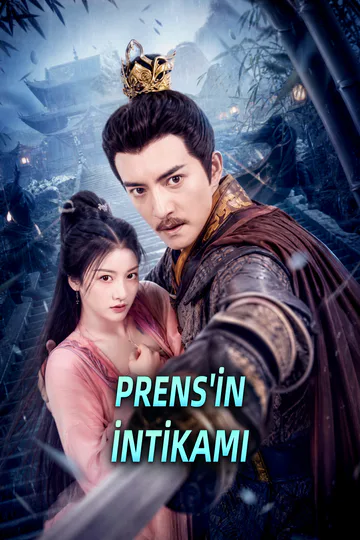 PRENS'İN İNTİKAMI afişi