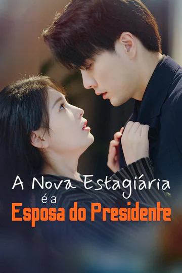 Pôster de A Nova Estagiária é a Esposa do Presidente-1