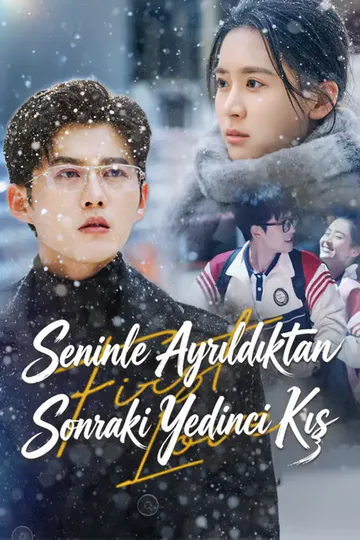 Seninle Ayrıldıktan Sonraki Yedinci Kış afişi