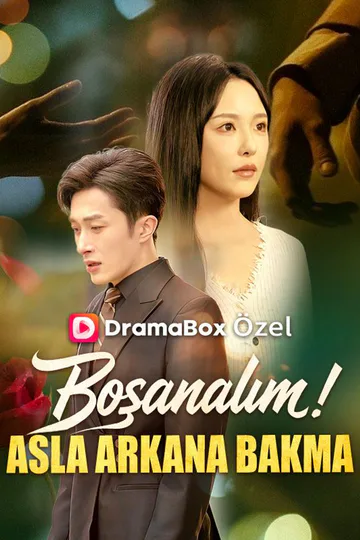 Boşanalım! Asla Arkana Bakma afişi