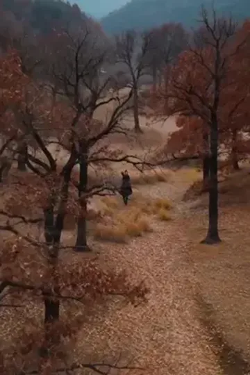Prens eşim bir panda afişi