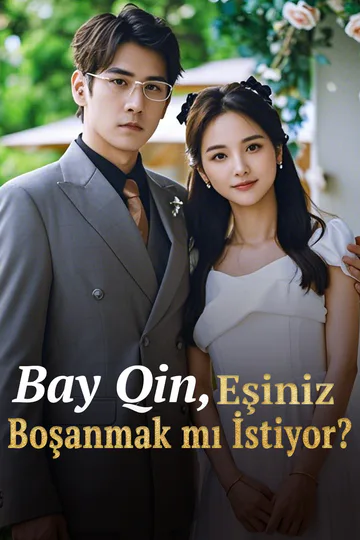Bay Qin, Eşiniz Boşanmak mı İstiyor? afişi
