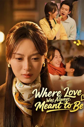 Where Love Was Always Meant to Be（DUBBED） poster