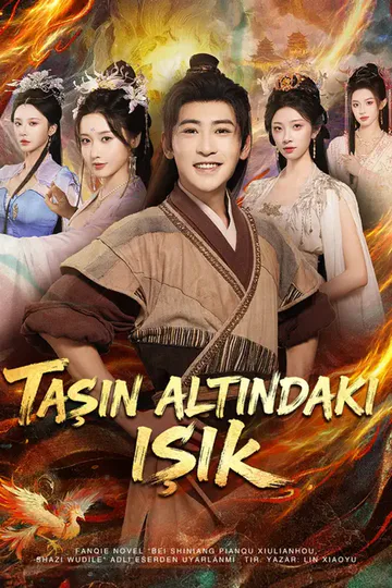 Taşın Altındaki Işık afişi