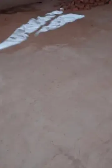Mafya varisi çılgınca koşuyor afişi