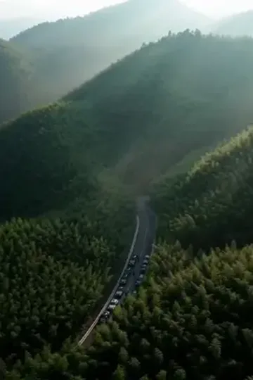 Dağdan gelen gizli varis afişi