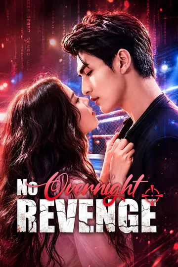 No Overnight Revenge poster