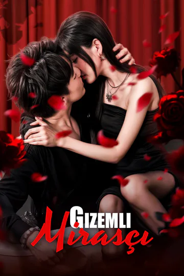 Gizemli Mirasçı(Dublajlı) afişi